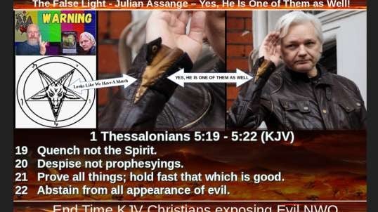 The False Light - Julian Assange – Yes, He Is One of Them as Well!