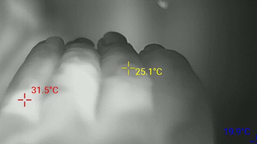 ...Skin Temperature Heating Using TS32 Strobe Flashlight for 22 Seconds