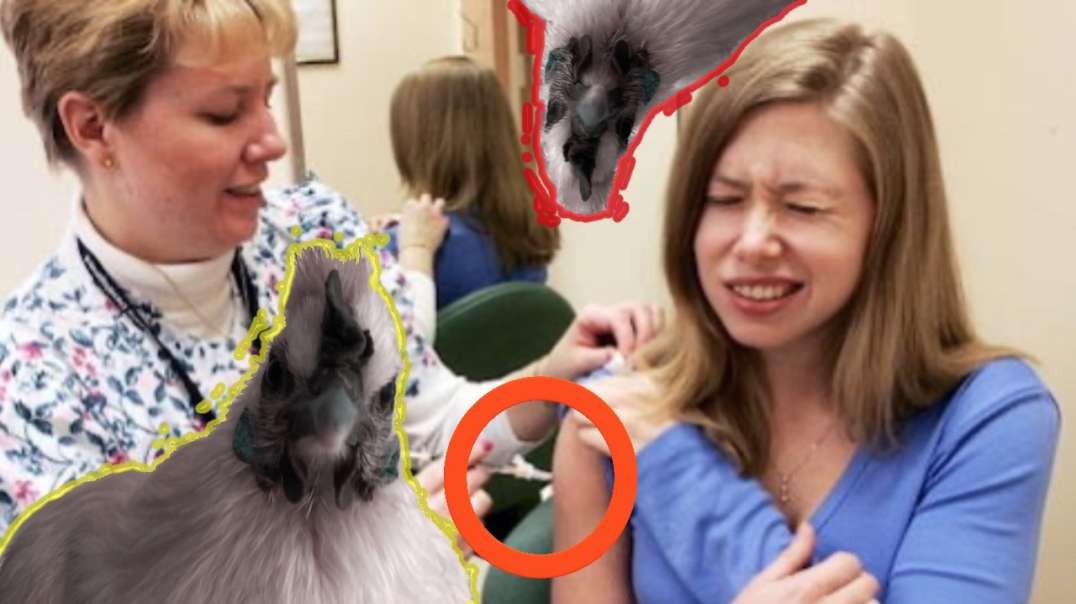Avian Influenza Added to Flu Vaccine in 2009