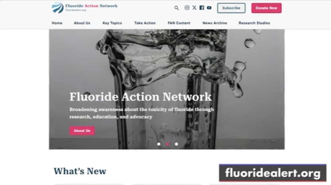 Corbett Report- Solutionswatch Fluoride