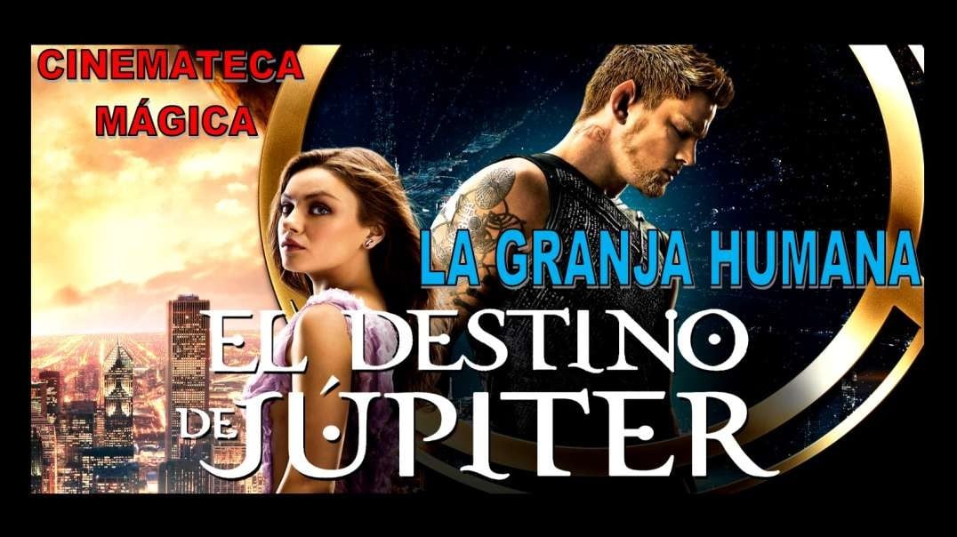 EL DESTINO DE JÚPITER - LA GRANJA HUMANA