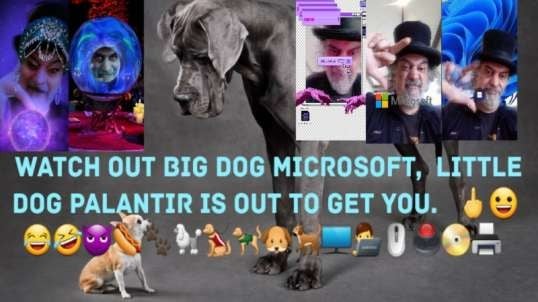 Palantir Might Beat Microsoft In AI Department. 🖕😀😂😈🐩🐕🖥👨‍💻🖱🖲