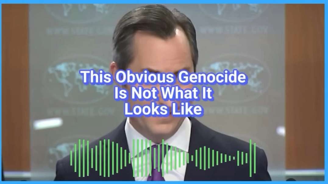 This Obvious Genocide Is Not What It Looks Like CaitlinJohnstone.mp4
