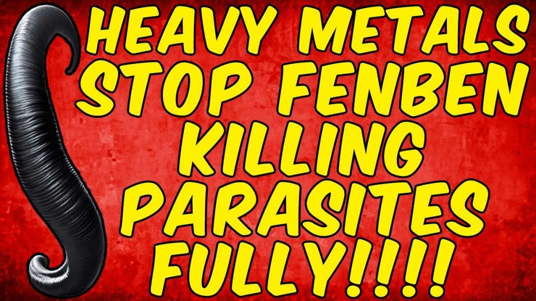 Heavy Metals Stop Fenbendazole From Eradicating Parasites Fully!