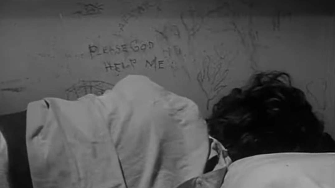 The Caretakers (1963)