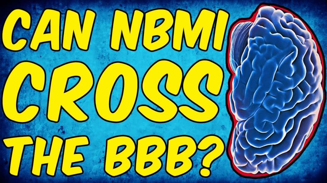 Can NBMI Cross The Blood Brain Barrier. - (Emeramide Irminix OSR OSR#1 BDTH2).mov