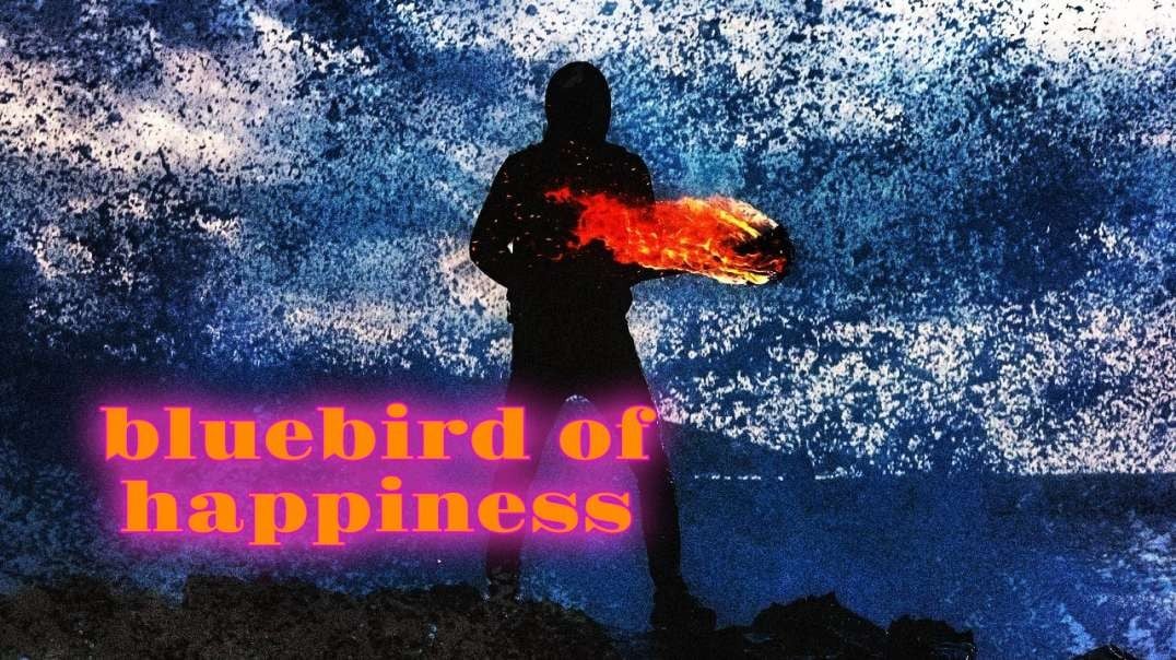 🐦 SOL LUCKMAN - Bluebird of Happiness (Official Music Video)