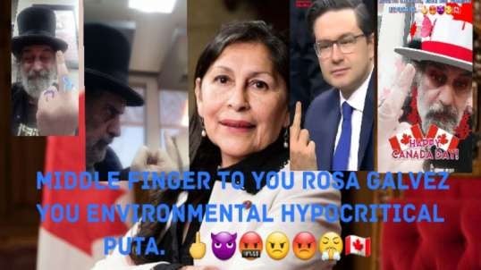 Rosa Galvez Is Another Environmental Hypocrite.  🖕👿🤬😠😡😤🇨🇦