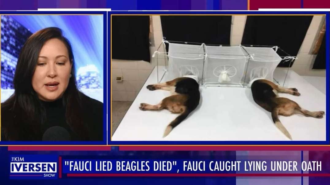 “FAUCI LIED, BEAGLES DIED” Fauci Caught LYING To Congress Using Private Email kimiversen.mp4