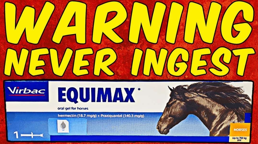 WARNING DO NOT INGEST PRAZIQUANTEL HORSE PASTE! - (EQUIMAX)