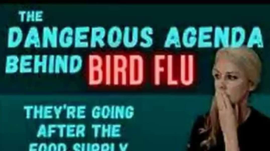 The dangerous agenda behind bird flu.  They're going after the food supply