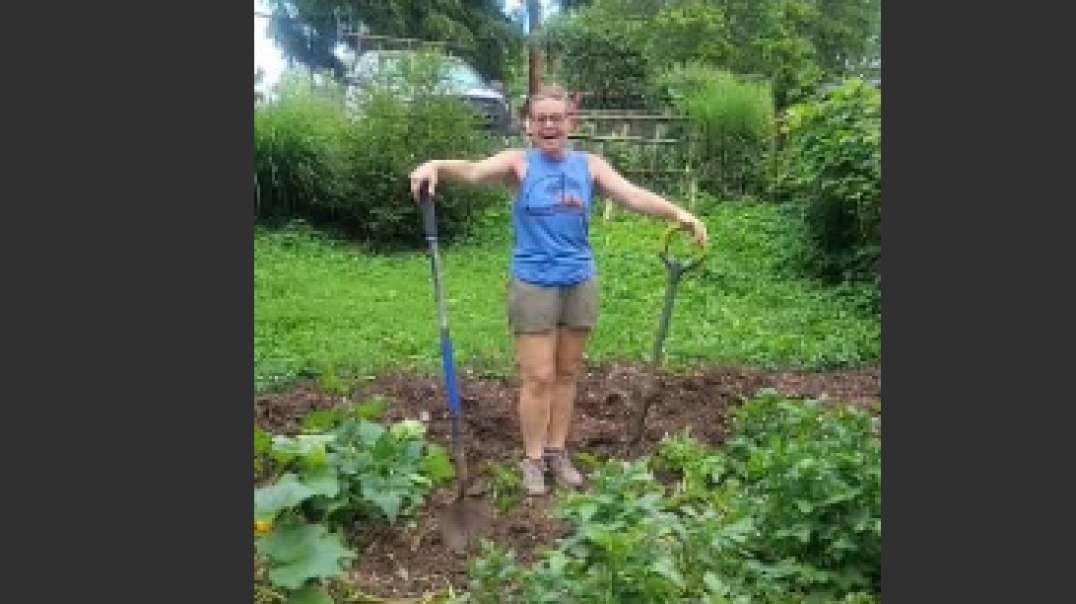 One of my favorite farm activities! Harvesting Potatoes!