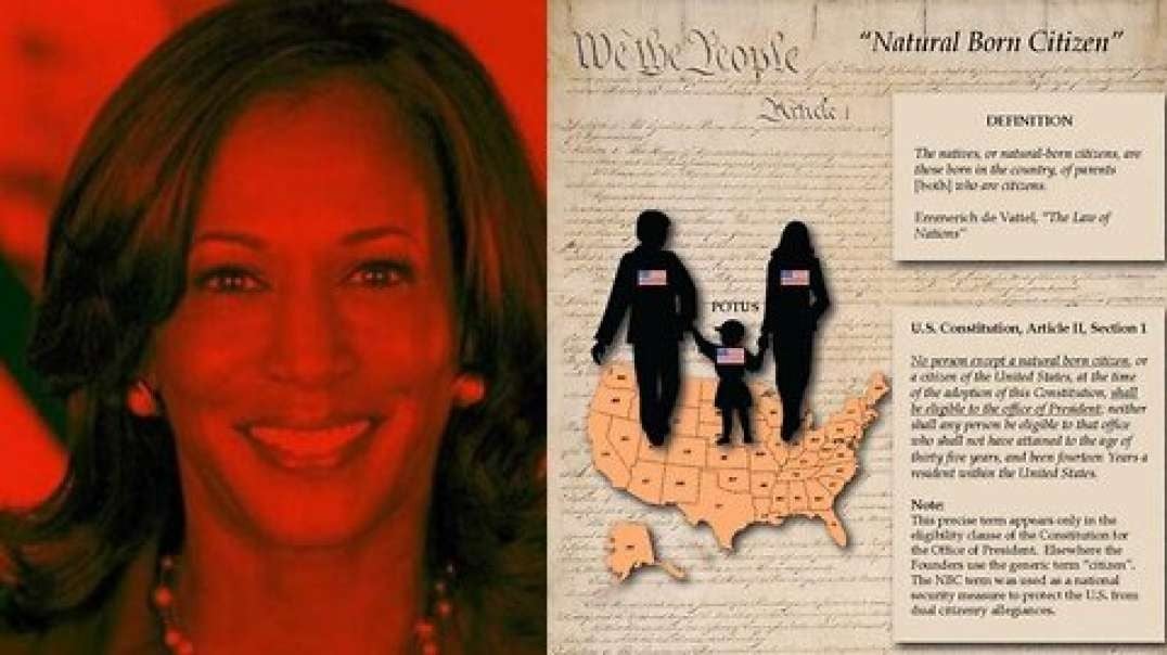 Just Like The Usurper, Kamala Harris Is Not A Natural Born Citizen & Here's The Evidence 2024-07-27 08_05.mp4