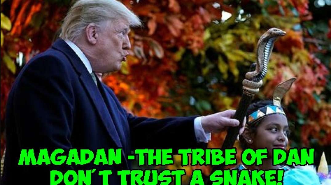 MAGADAN -THE TRIBE OF DAN - DON'T TRUST A SNAKE! - Shaking My Head Productions