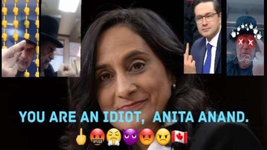 Anita Anand Wants DEI In CAF And Public Service.  🖕🤬😤👿😡😠🇨🇦