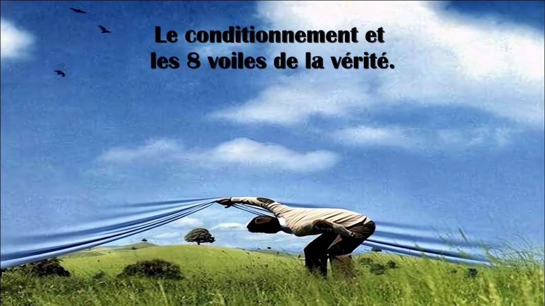 Don Harkins ¦ Le conditionnement et les 8 voiles de la vérité [Scale 2x_REMIX]