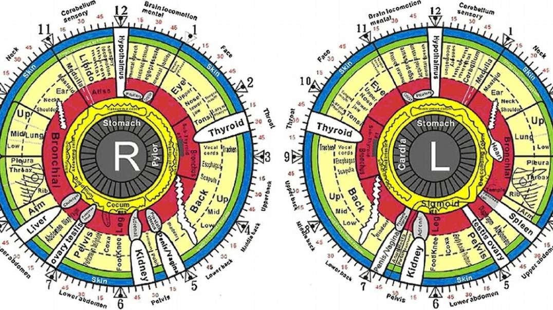 Kate Shemirani: Iridology - The Amazing Eyes, What They Do & How To Care For Them