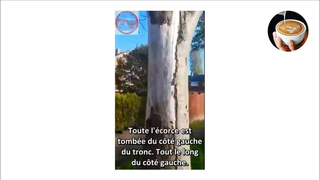 📱 La 5G Tue Les Arbres