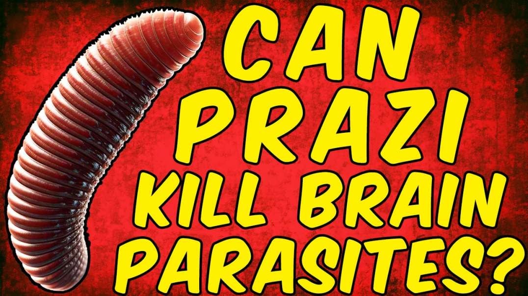 Can Praziquantel Kill Brain Parasites?