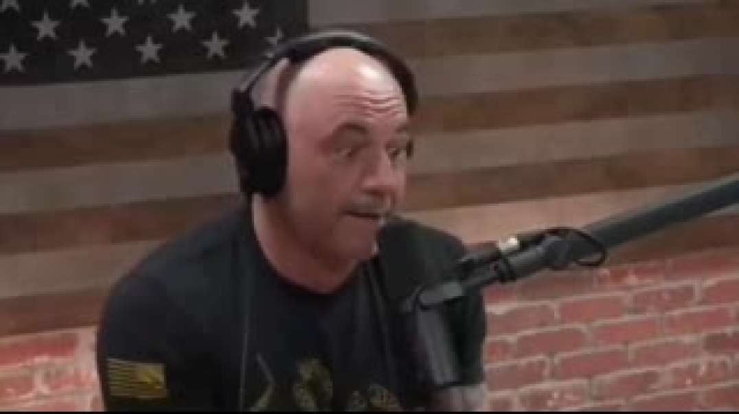 Anti-White Shill Joe Rogan Blames Looting On "White" Kids