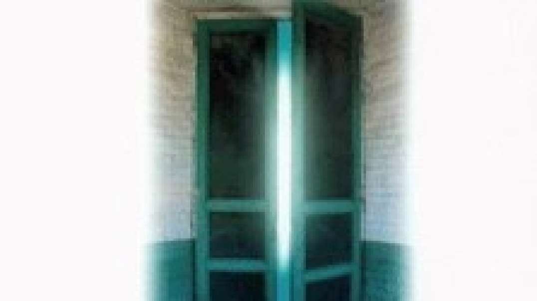 The Door of Everything By Ruby Nelson (The Door to Unlocking Abundance)