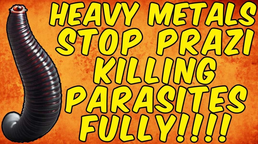 Heavy Metals STOP PRAZIQUANTEL From Eradicating Parasites FULLY!