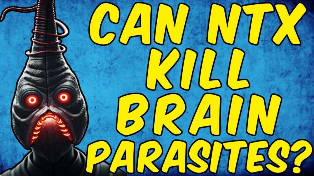 Can Nitazoxanide Kill Brain Parasites?