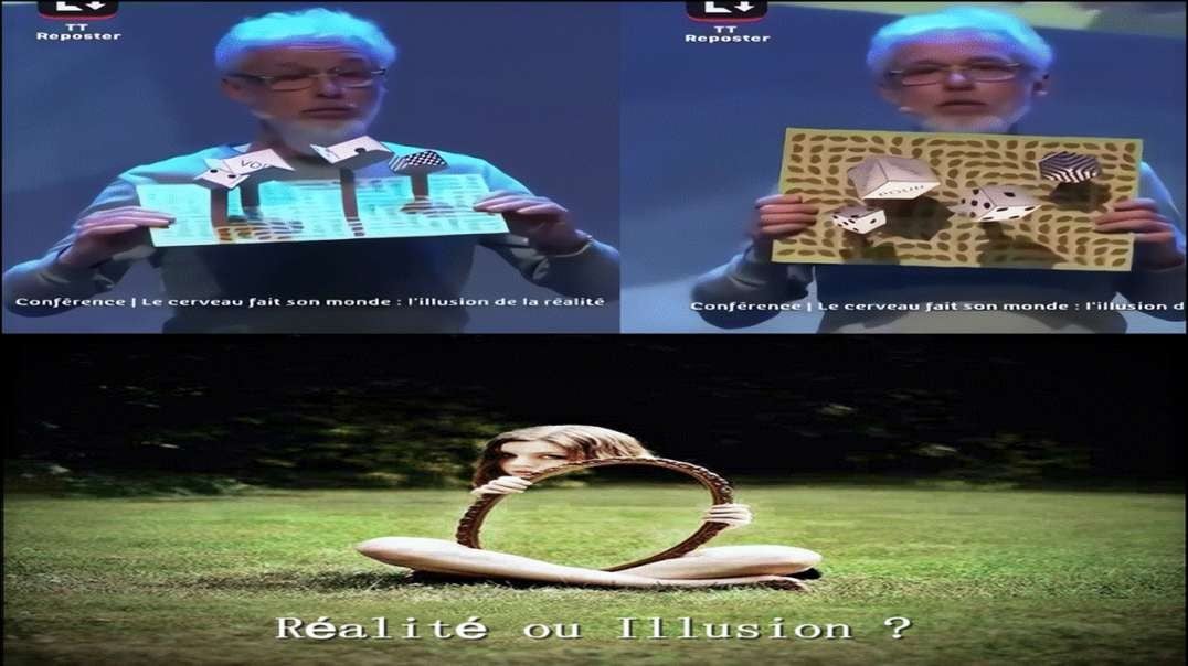 👁️‍🗨 ️L'illusion de la réalité 👁️‍🗨️ Réalité ou Illusion ¿ [Scale 2X]