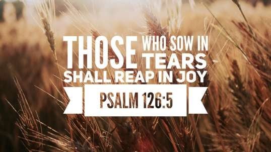 They that sow in tears shall reap in joy