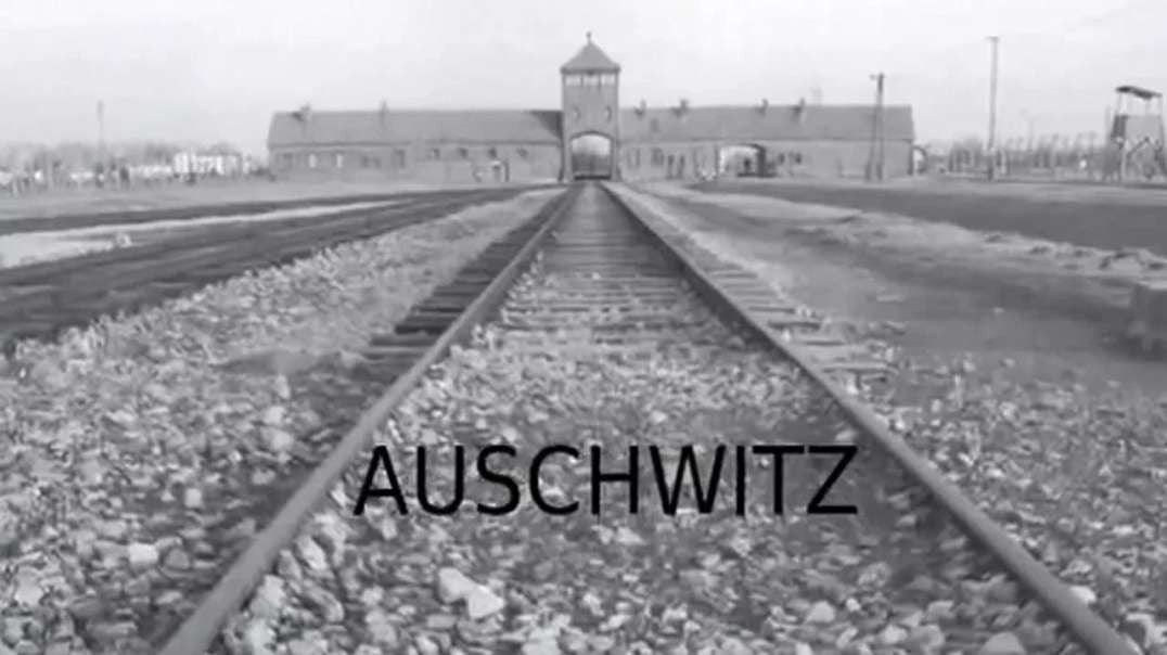 Auschwitz VS Science (Documentary)