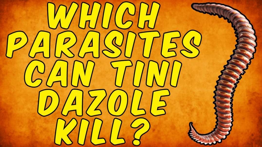 Which Parasites Can Tinidazole Kill? - (Science Based)