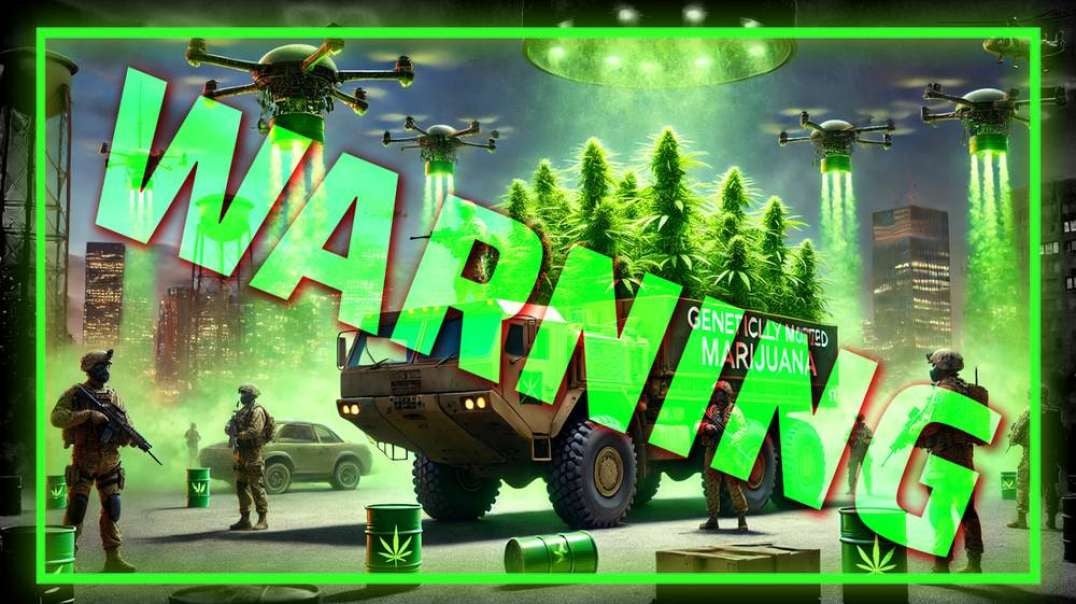 WARNING: Weaponized Weed Deployed To Warp The Minds Of The Masses— Use At Your Own Risk