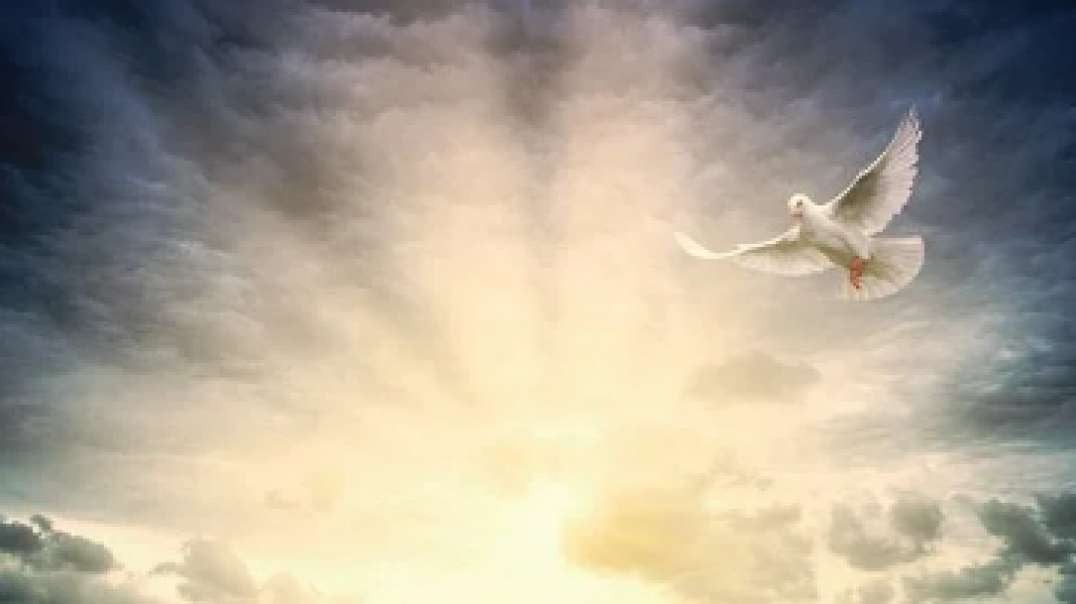 Trust The Light of GOD ... ‐ CLIP - made with Clipchamp.mp4