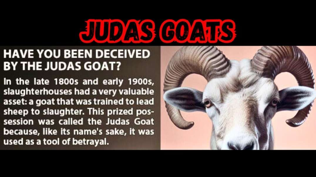 Judas Goats