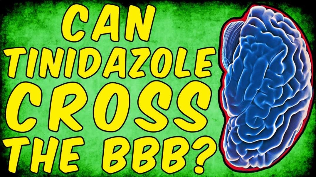 Can Tinidazole Cross The Blood Brain Barrier? - (Science Based)