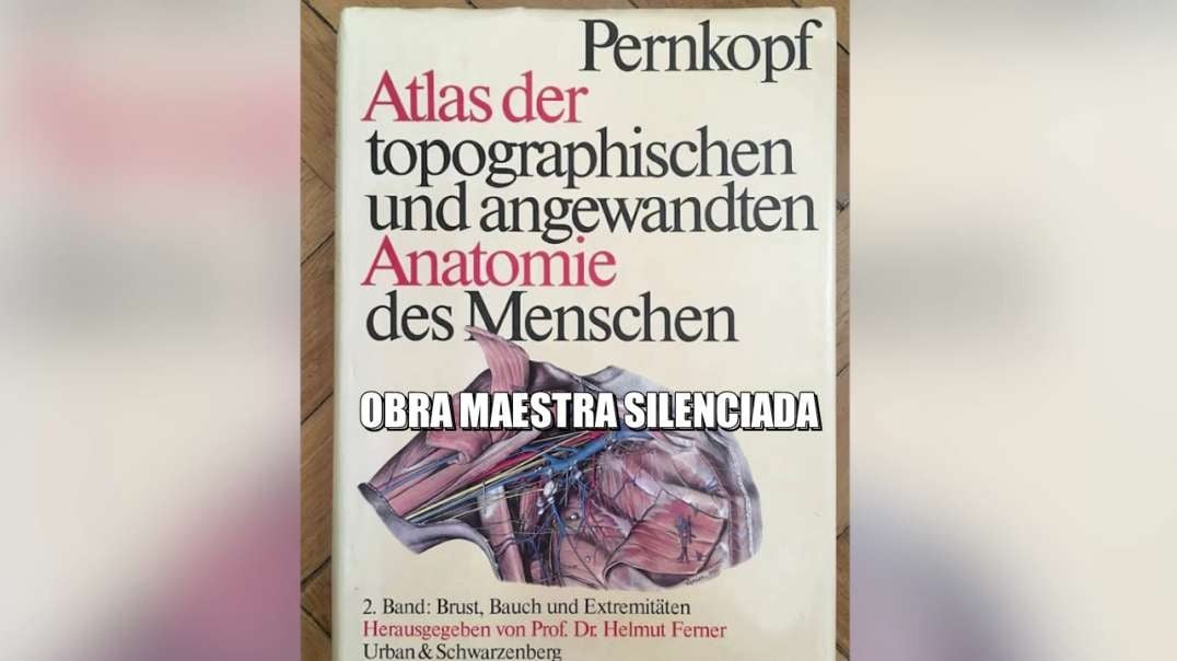 El odiado Atlas de Pernkopf.