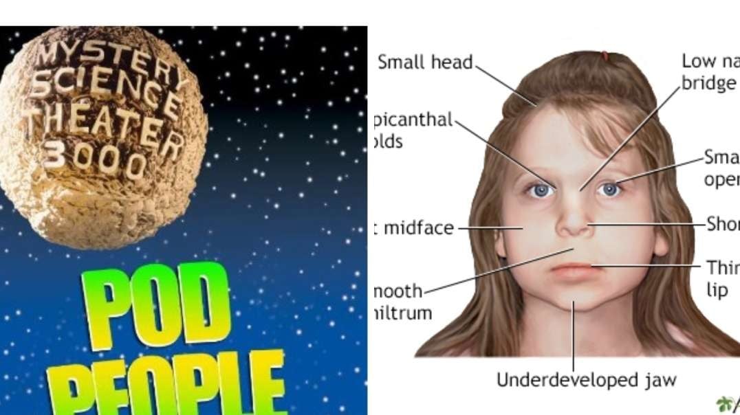 POD PEOPLE FULL EXPLANATION. #reset #analysis