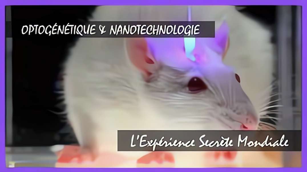 OPTOGÉNÉTIQUE & NANOTECHNOLOGIE : L’Expérience Secrète Mondiale (Greg Reese) ITV🐇  ✅Repost