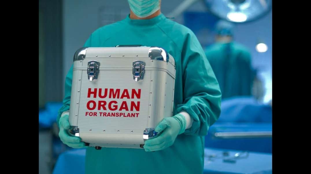 WARNING! Organ Donors Beware! Your Murder May Be In Your Future - Guest: Dr. Paul Byrne