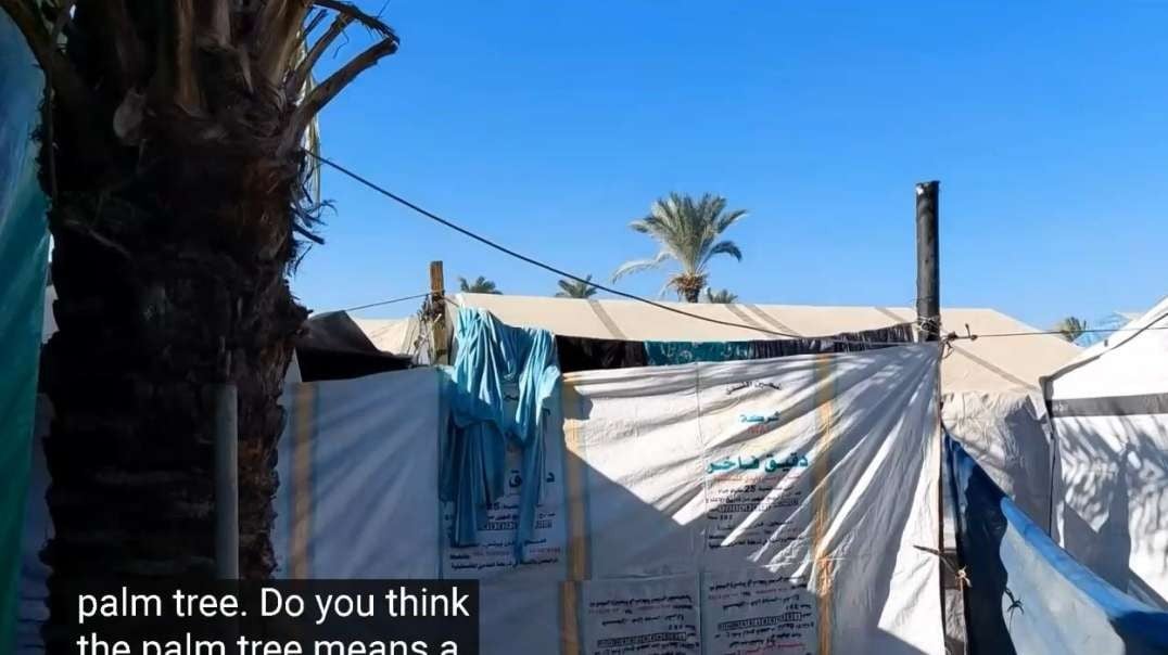 Gaza Current Daily Routine Displaced Family in Tents 10-26-24.mp4