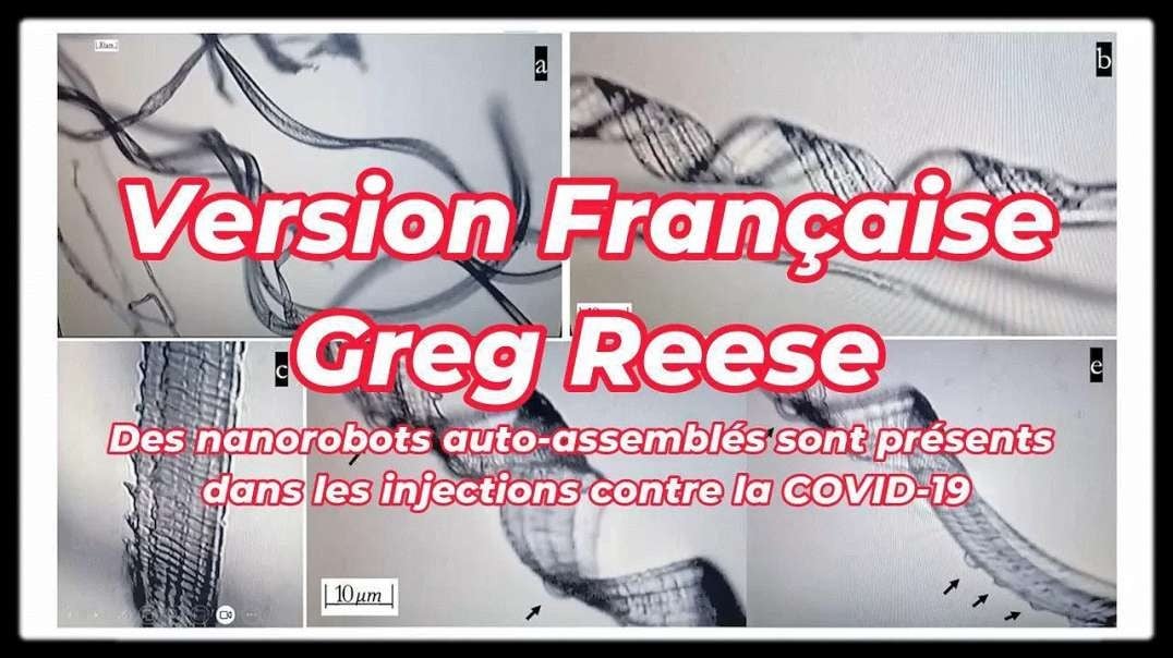 GREG REESE | COVID19 | Nanorobots auto-assemblés