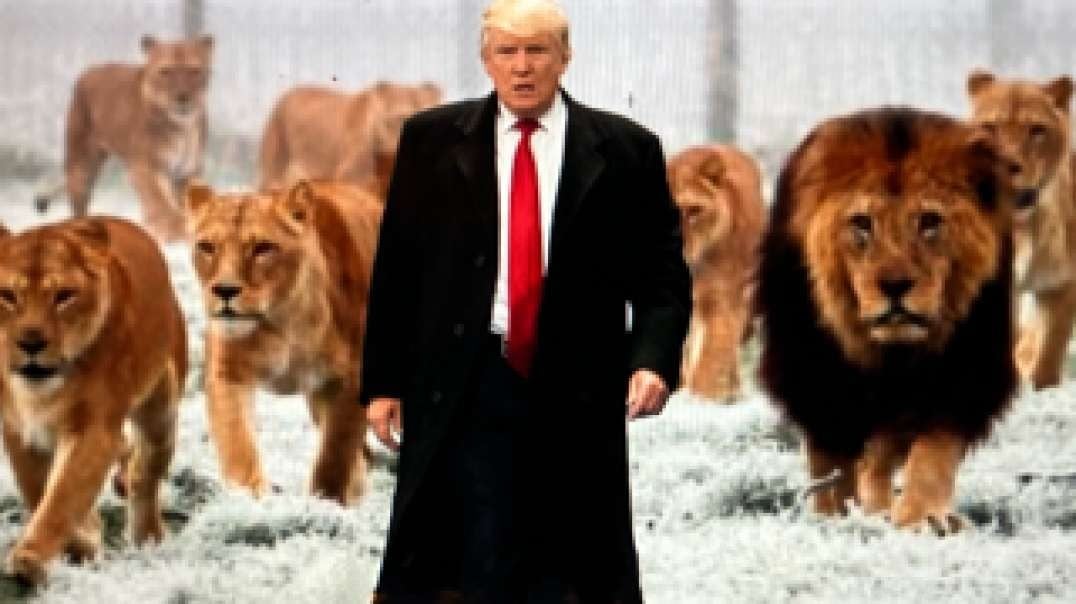 11/13/24 TRUMP's NOMINEE LIONS! Hammer Of Justice! MI FEMA FF Threat #B2B2B