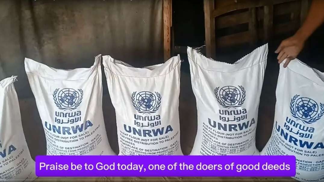 Gaza Distributing Flour To Displaced Families Living in Tents