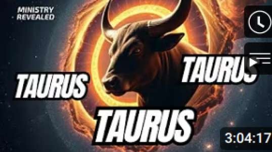 Taurus! Taurus! Taurus! (bullseye).mp4