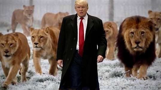 11/13/24 TRUMP's NOMINEE LIONS! Hammer Of Justice! MI FEMA FF Threat #B2B2B