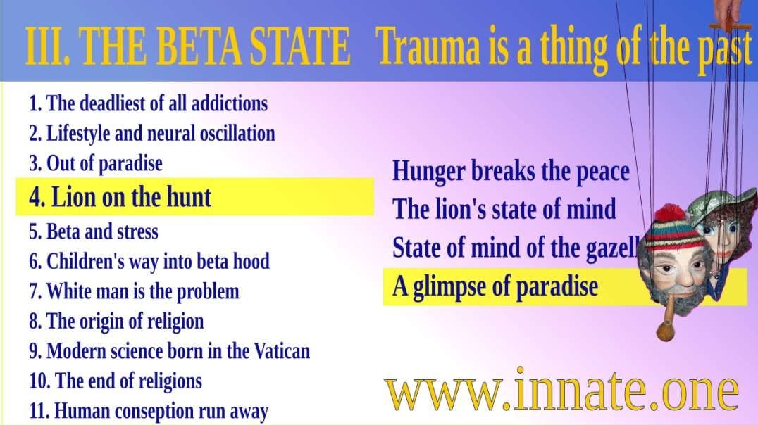 #62 Meditating lioness - Trauma is a thing of the past – A glimpse of paradise