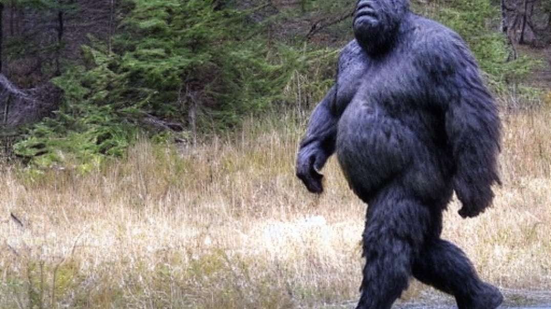 THE MYSTERY OF BIGFOOT SOLVED