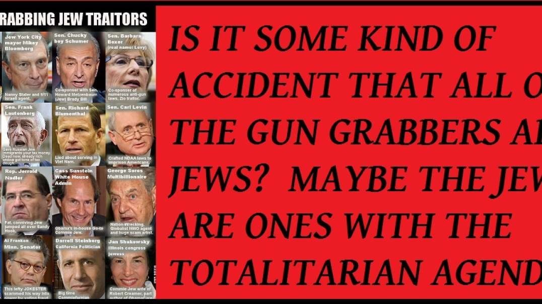 Jewish Gun Grabbers