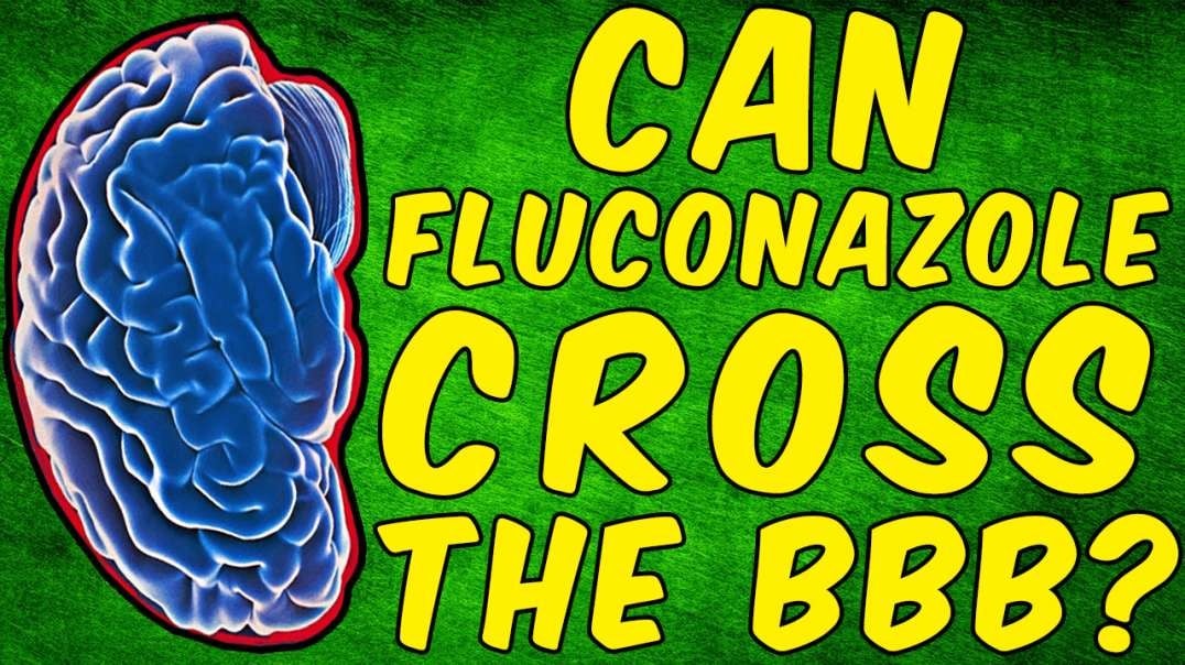 Can Fluconazole Cross The Blood-Brain Barrier?