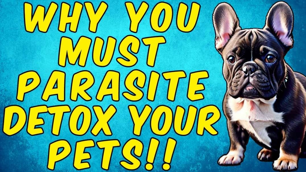 You Must Parasite Detox Your PETS!.mov